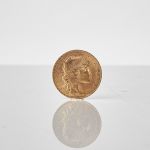 594847 Gold coin